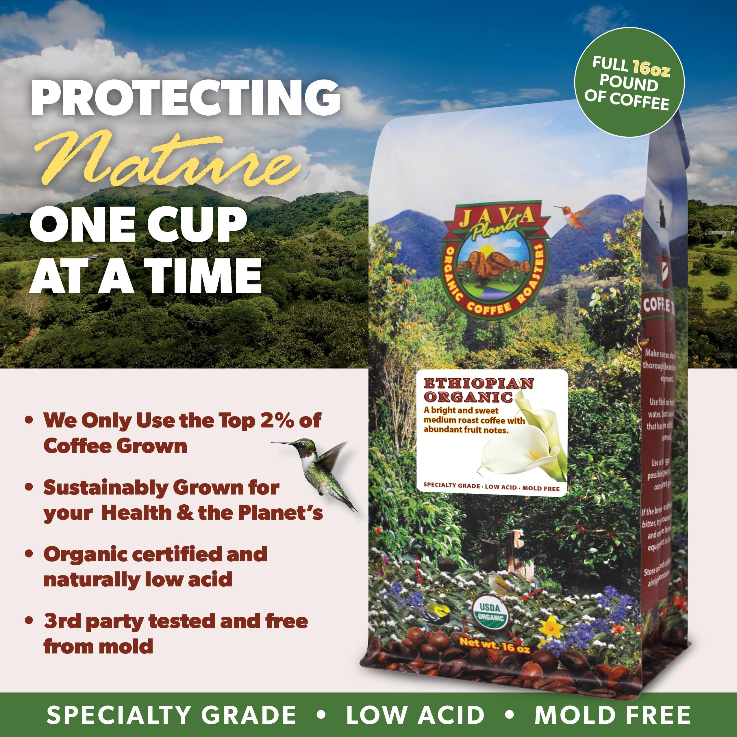 Java Planet Java Planet Low Acid Coffee, Organic Ethiopia Single Origin: Whole Bean Medium Roast - Smooth Full Flavored Coffee Bean, 1LB Bag