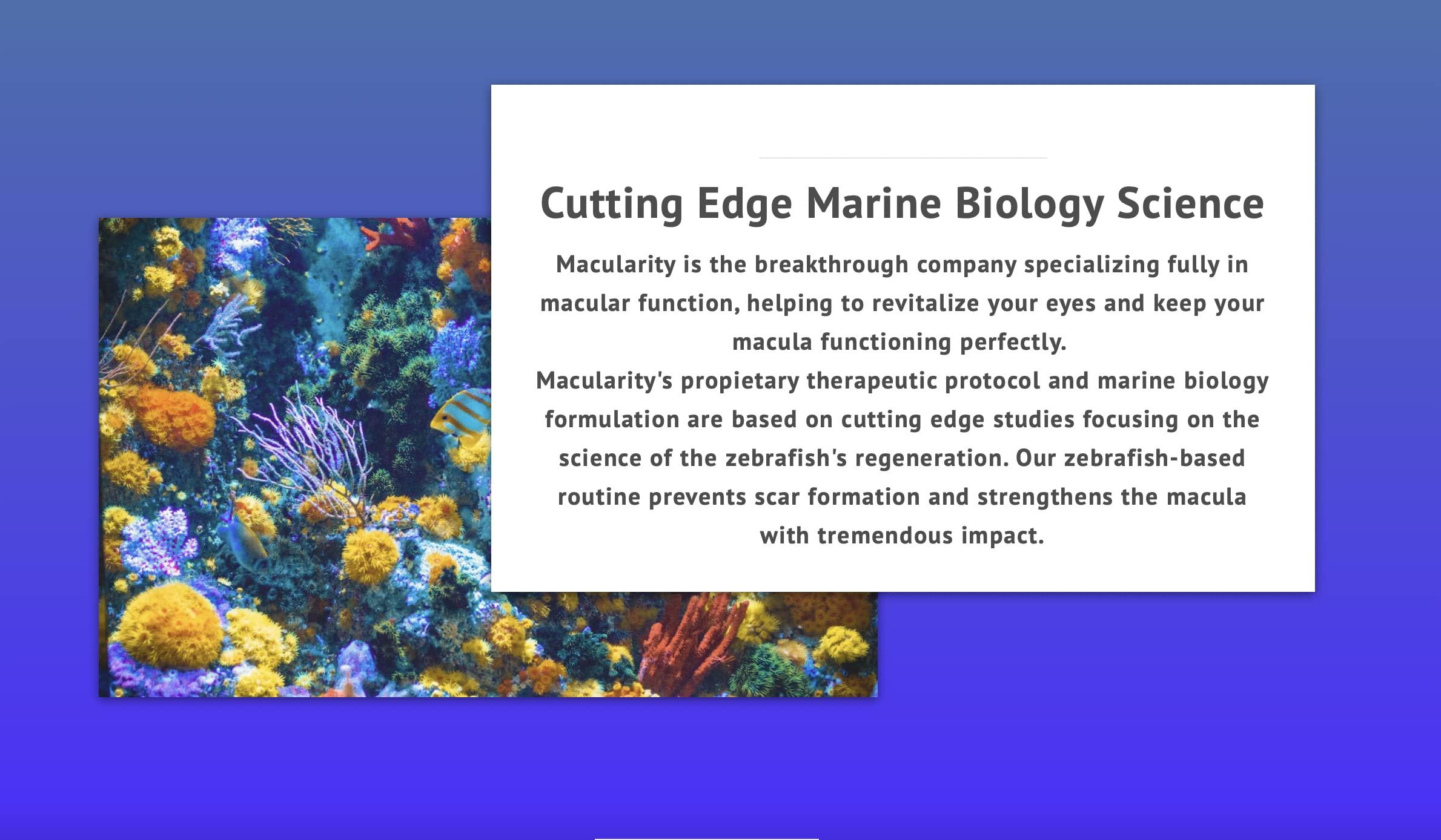 Lindt New Lindt Classic Vegan Salted Caramel, 100g