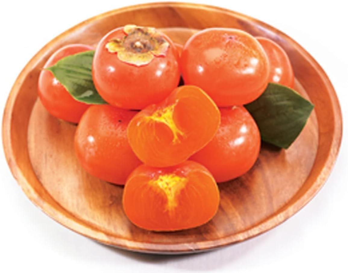 PALPLUS Organic Natural Pure Persimmon Extract Powder - 1.1LB(500gram)