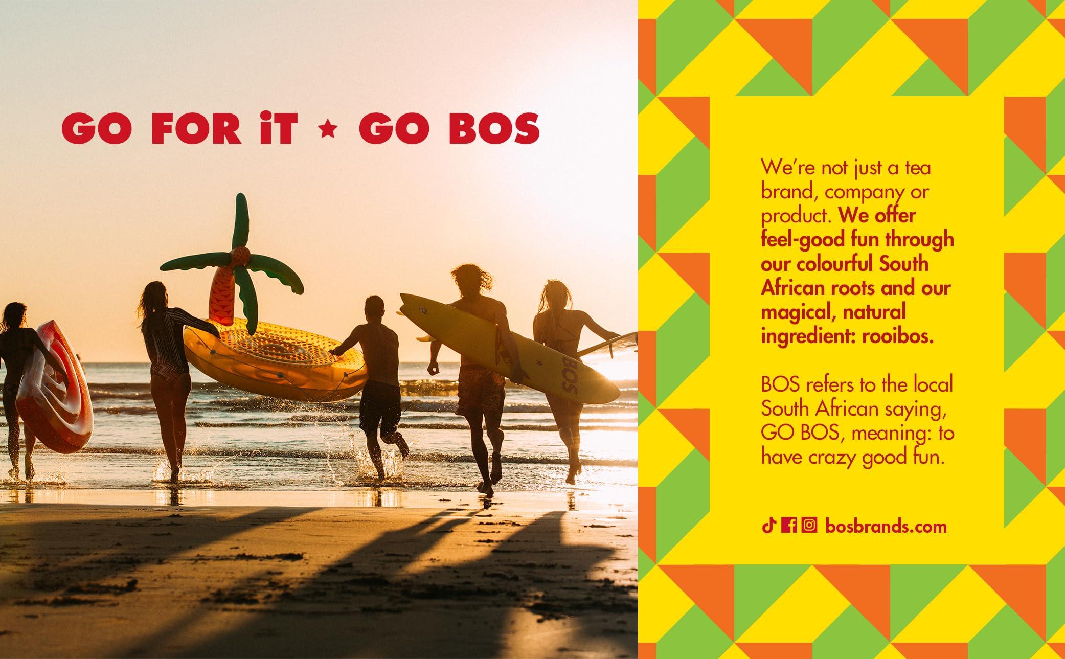 BOS BOS Rooibos Iced Tea Sugar Free Peach | 24x (6x 10.1 oz Cans) | Organic, Caffeine Free, Naturally Sweet, Antioxidant-Rich, Herbal, Red Rooibos Tea | From South Africa