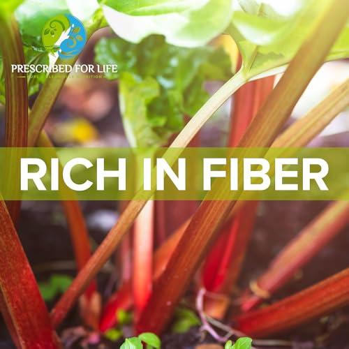 Prescribed For Life Prescribed For Life Rhubarb Root Powder 20:1 | Turkey Rhubarb Powder for Rhubarb Root Tea and Natural Stomach Health | Vegan, Gluten Free, Non GMO (4oz / 113g)