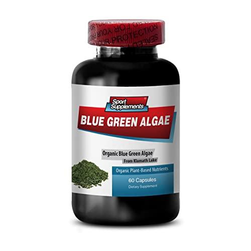 Sport Supplement Pure Herbal Supplement - Klamath Blue Green Algae 500mg - Increase Energy Levels, Improve Digestion and Enhance Immune System, spirulina, chlorella, Klamath Blue Green Algae Powder - 1B 60 Capsules