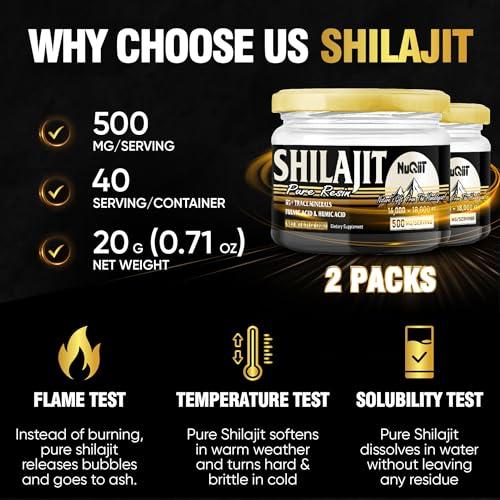 NUQIIT 2 Packs 20g Shilajit Supplement for 80-Serving Supply - Support Immunity, Brain Health & More - 500mg Shilajit Pure Himalayan Organic with Natural Fulvic Acid, Humic Acid & 85+ Trace Minerals