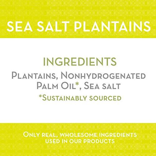 Artisan Tropic Artisan Tropic Sea Salt Plantain Chips, 4.5 OZ