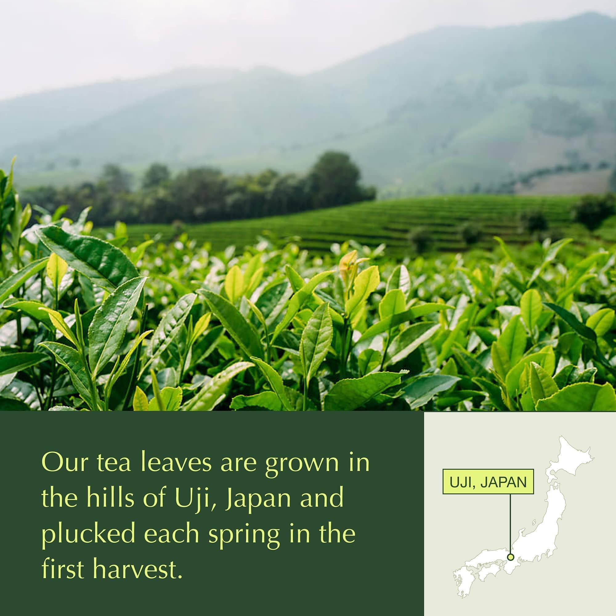 Encha Encha Ceremonial & Latte Matcha Green Tea Bundle - Organic First Harvest Japanese Matcha Green Tea Powder, From Uji, Japan (30g/1.06oz x 2 bags)