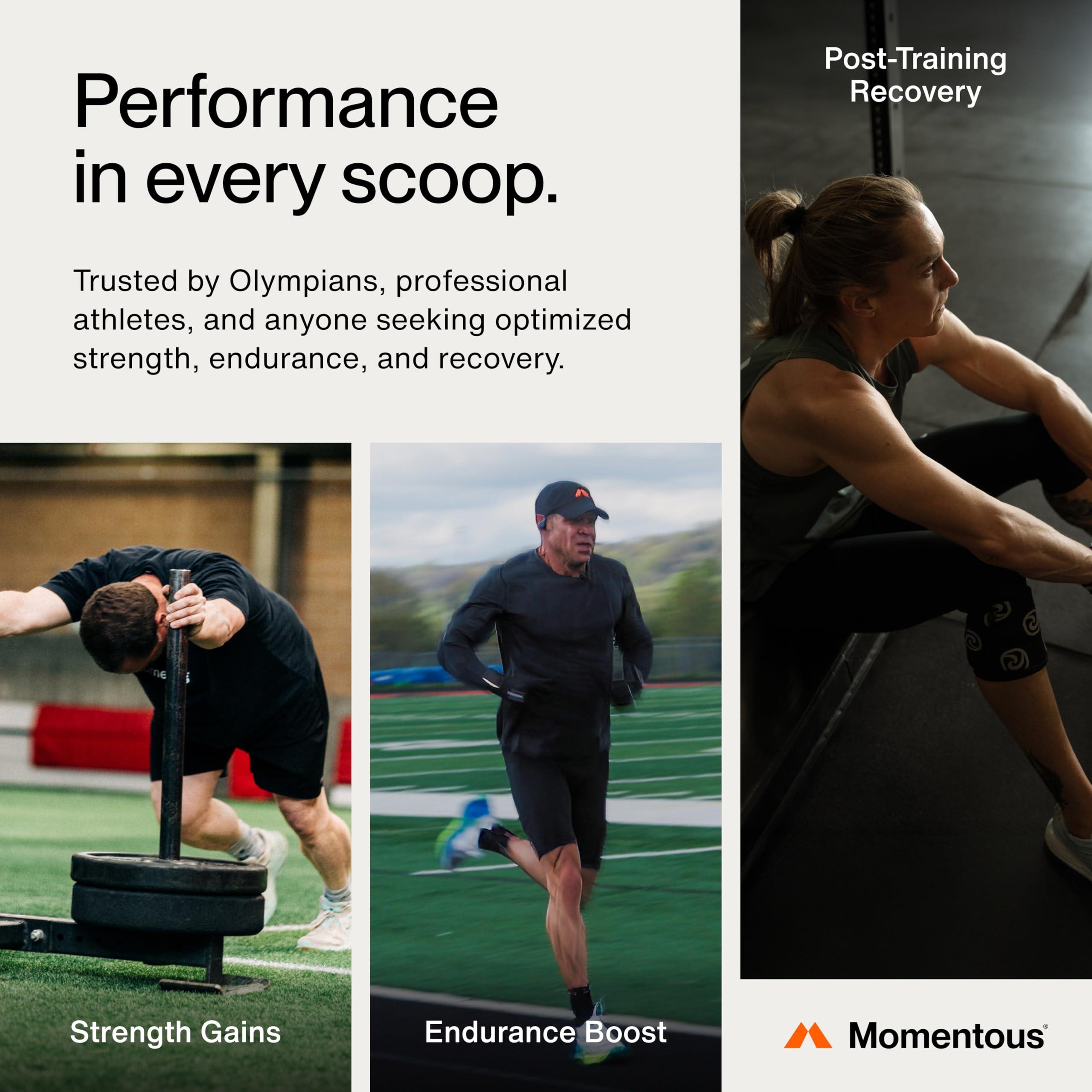 Momentous Momentous Creatine Monohydrate Powder - Creapure Creatine Powder Supports Strength, Lean Muscle, & Recovery for Men & Women - 5 g per Serving - 90 Servings