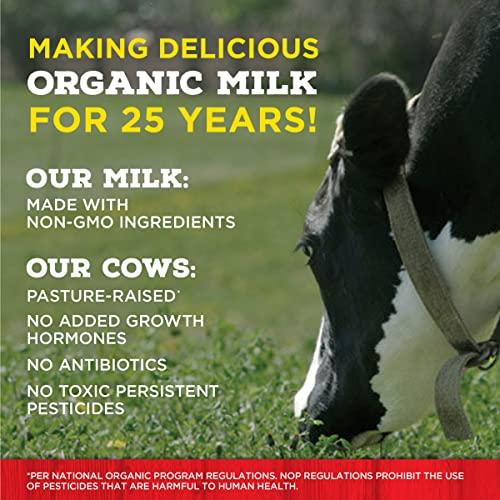 Horizon Organic Horizon Organic Shelf-Stable 1% Lowfat Milk Box, Chocolate, 8 Fl Oz, 1 Pack