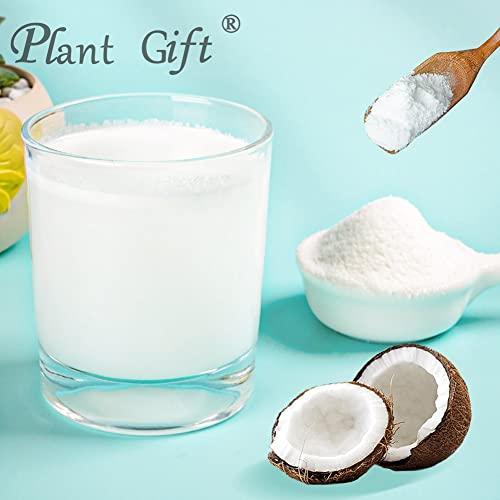 Plant Gift Plant Gift 100% Pure Coconut Powder Natural Powder, Great Flavor for Drinks, Smoothie, Yogurt, Baking, cookies, cakes and Beverages, Non-GMO Powder, No Filler, No additives 100G/3.25oz
