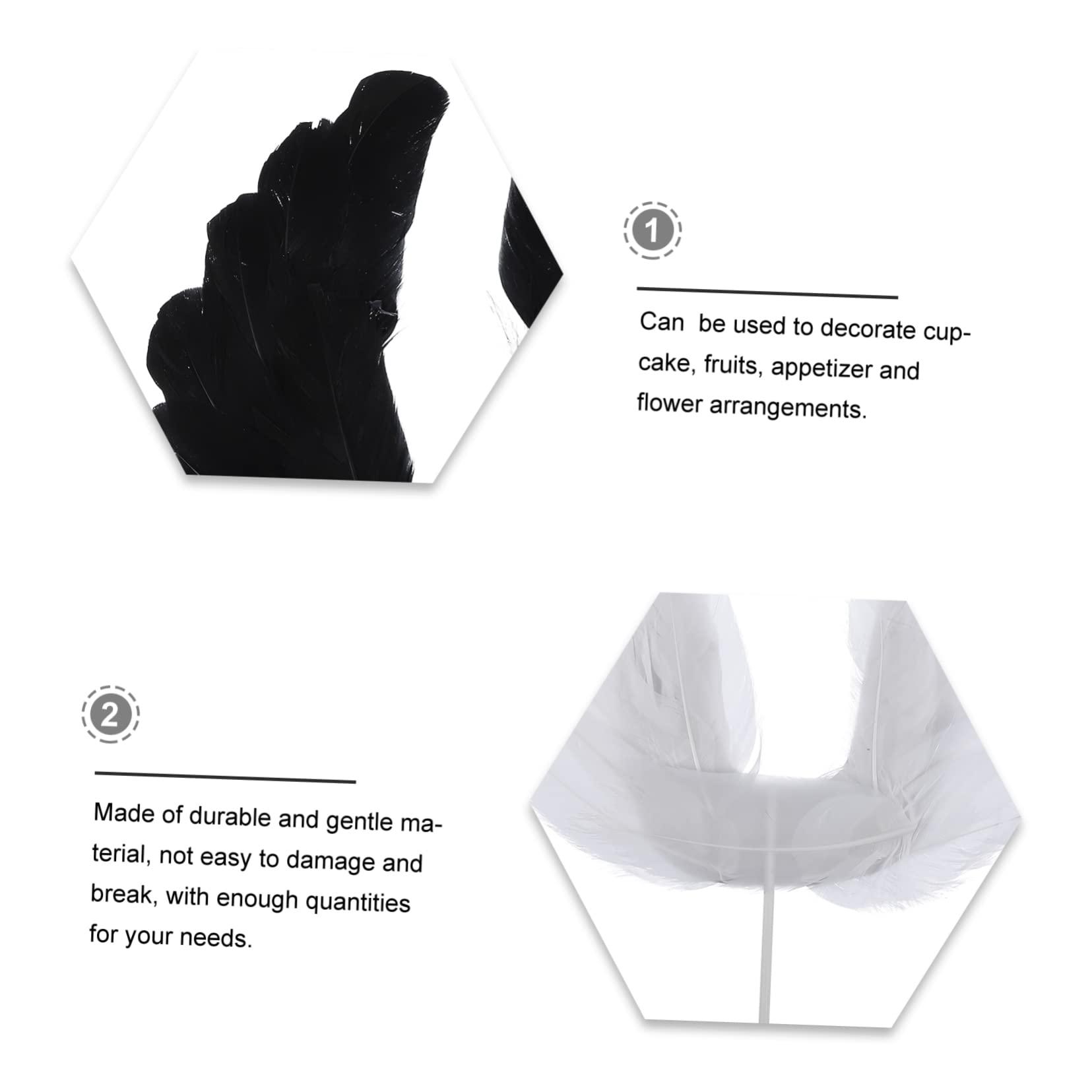 Jacqueline Kent Jacqueline Kent Sugar Cane - Adjustable Cane - Royal Garden Party Green Ombre