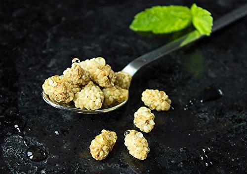 Food to Live Food to Live Organic Dried White Mulberries, 1 Pound - Non-GMO, Unsulfured, Bulk