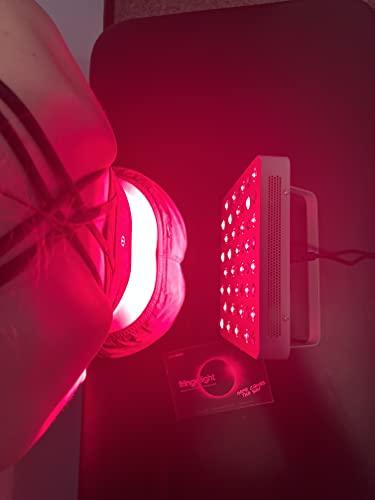 COKOYAM Samyang Hot Chicken Buldak Noodle Big Bowl 6 Flavors Combo (Original, 2X, Stew, Cheese, Jjajang, Kimchi) (2 Flavors(Original & Stew), Pack of 1)