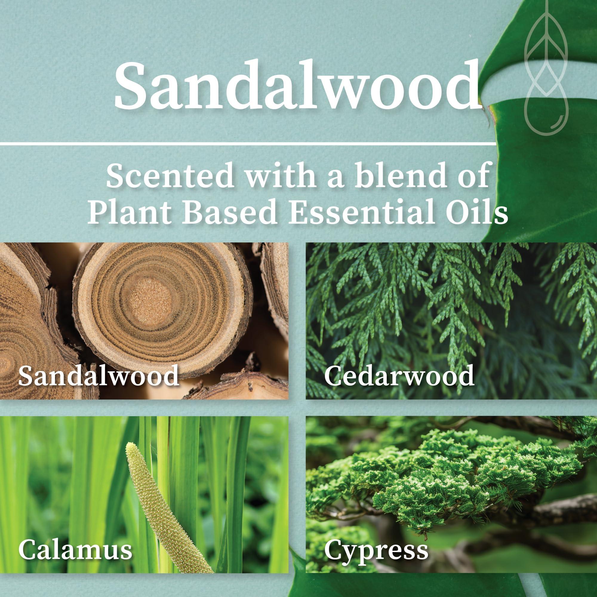 Hemlock Park Hemlock Park Crackling Wood Wick Candle Handcrafted with Natural Coconut Wax and Essential Oils (Large 16 oz, Sandalwood)