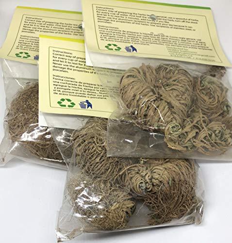 Healthy Supplements Doradilla/Flor de Jerico