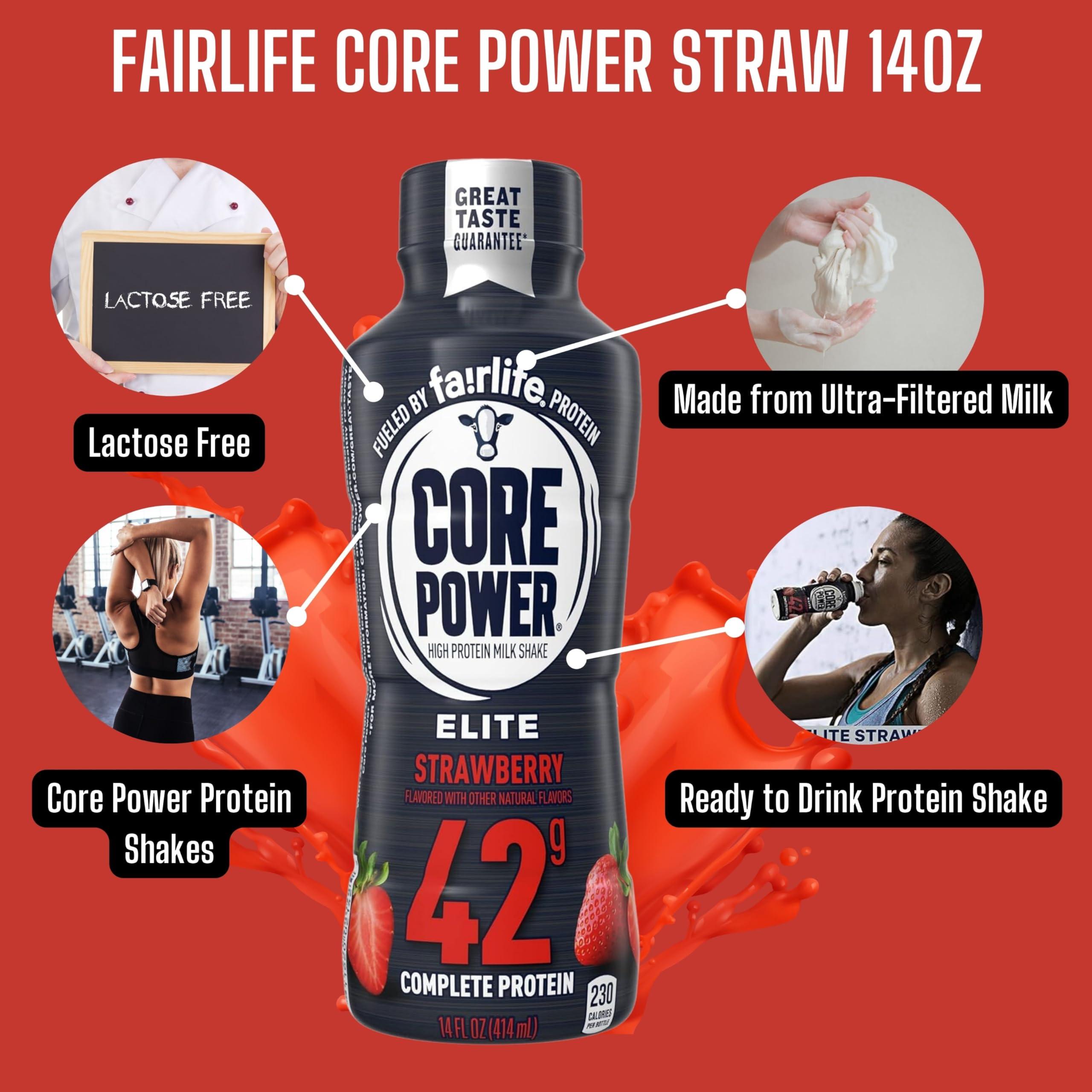 Worldwide Nutrition Worldwide Nutrition Bundle: Fairlife Core Power Elite 42g High Protein Milk Shake - Kosher, Strawberry Protein Shake for Workout Recovery - 14 Fl Oz (Pack of 12) & Multi-Purpose Key Chain