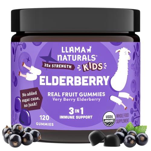 Llama Naturals Llama Naturals Real Fruit Sambucus Elderberry Gummies for Kids, No Added Sugar Cane, Vegan, Organic Toddler Immune Support, Zinc & Vitamin C Children 120 Count (2-4 Month Supply)