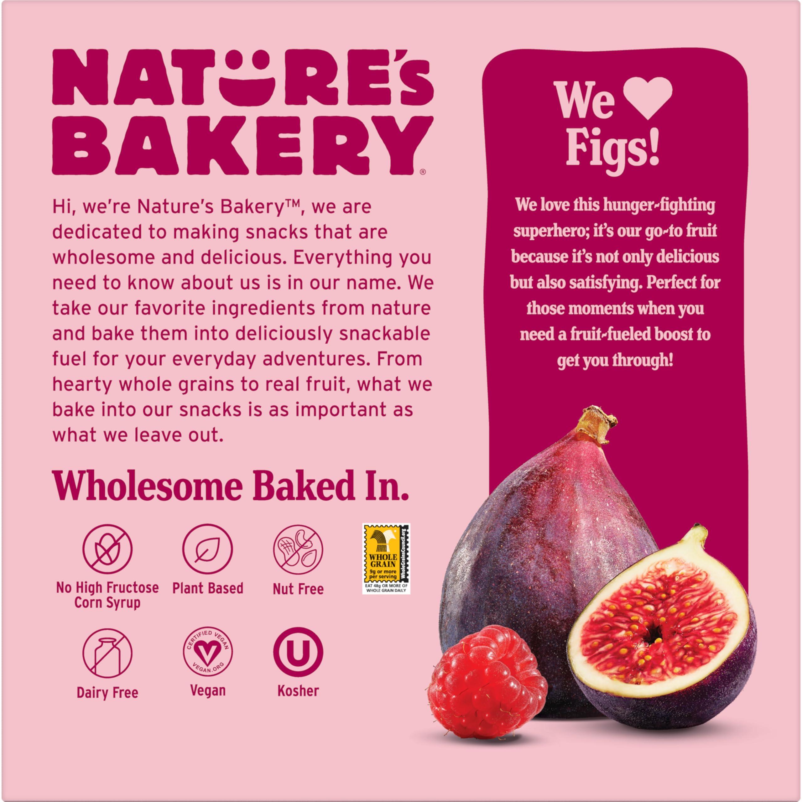 Nature\'s Bakery Nature\'s Bakery Fig Bar Minis, Raspberry, Whole Grain, Vegan Friendly, Kosher, Non-GMO, 10 Ounce (Pack of 6)