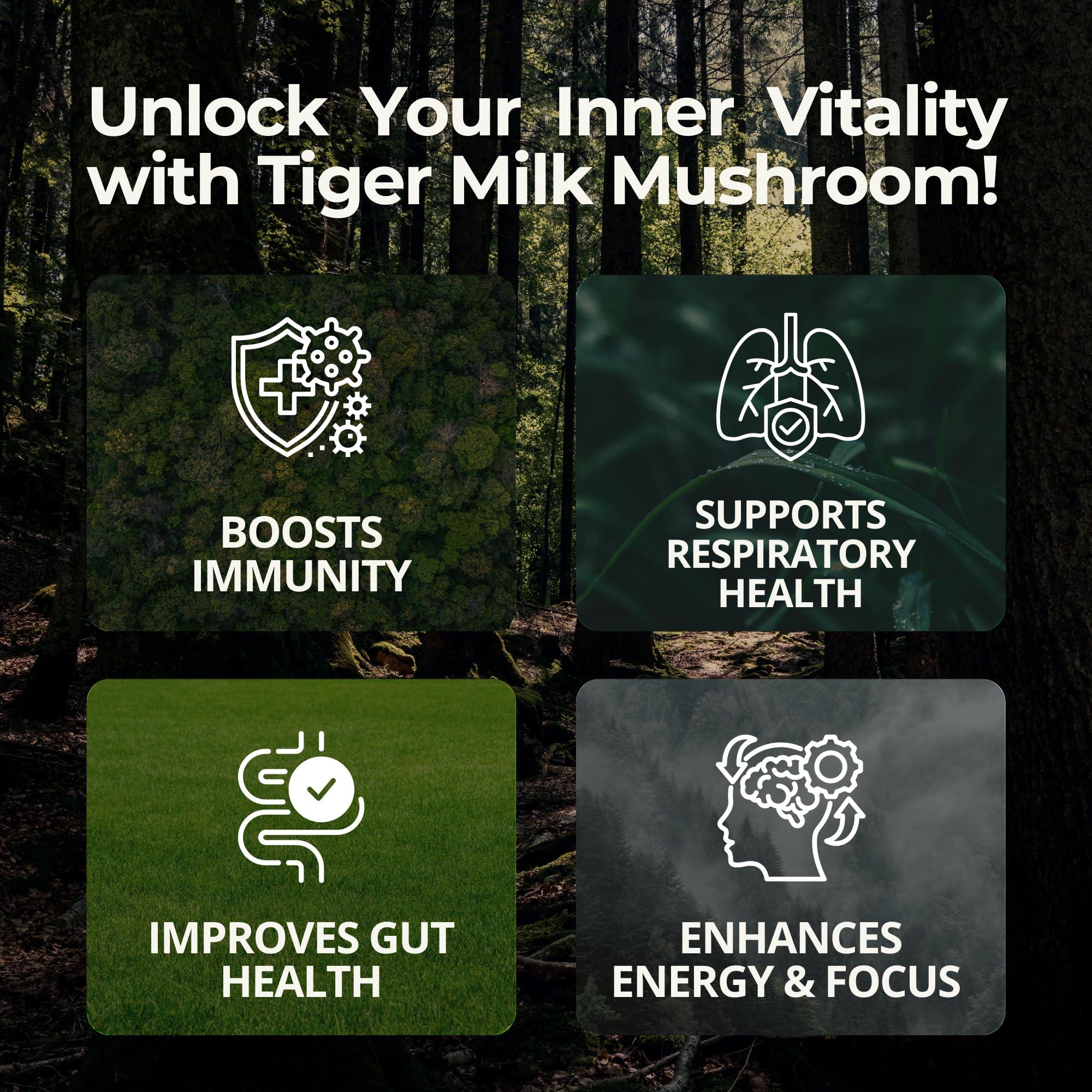TIGERUS TIGERUS Tiger Milk Mushroom (LiGNO TM02 Lignosus rhinocerus Sclerotia) Malaysia, Lung Respiratory Immune Support 420mg x 60 vegecap