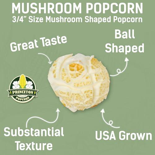 Princeton Popcorn Mushroom Popcorn Kernels for Popping Six-Pack 1lb Tubs Princeton Popcorn Farmer-Direct Non-GMO Gluten Free Popcorn Kernels Mushroom Shaped Popcorn Popping Corn Air Popper and Stovetop 6-pack 96 oz