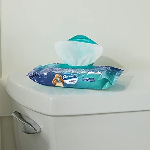 Charmin Charmin Freshmates Flushable Wipes with Refillable Tub (Pack of 2)