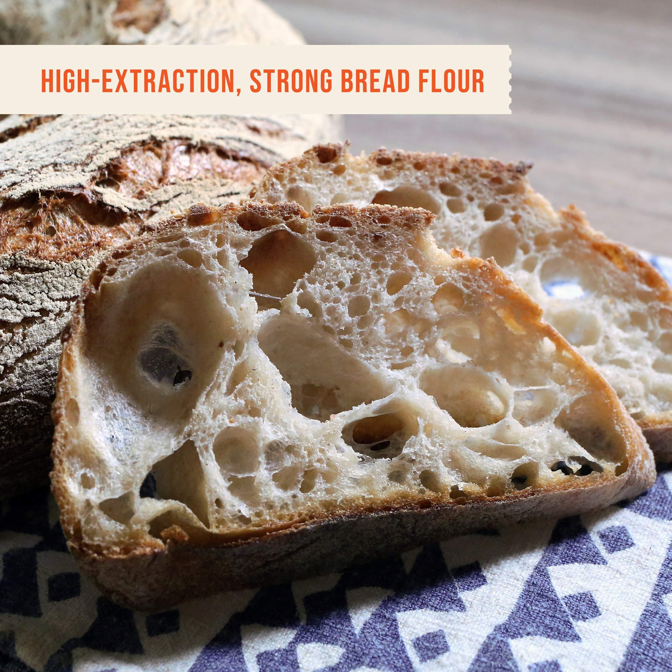 CENTRAL MILLING CENTRAL MILLING 100% Organic Artisan Bread Flour - 25 lbs - Old World