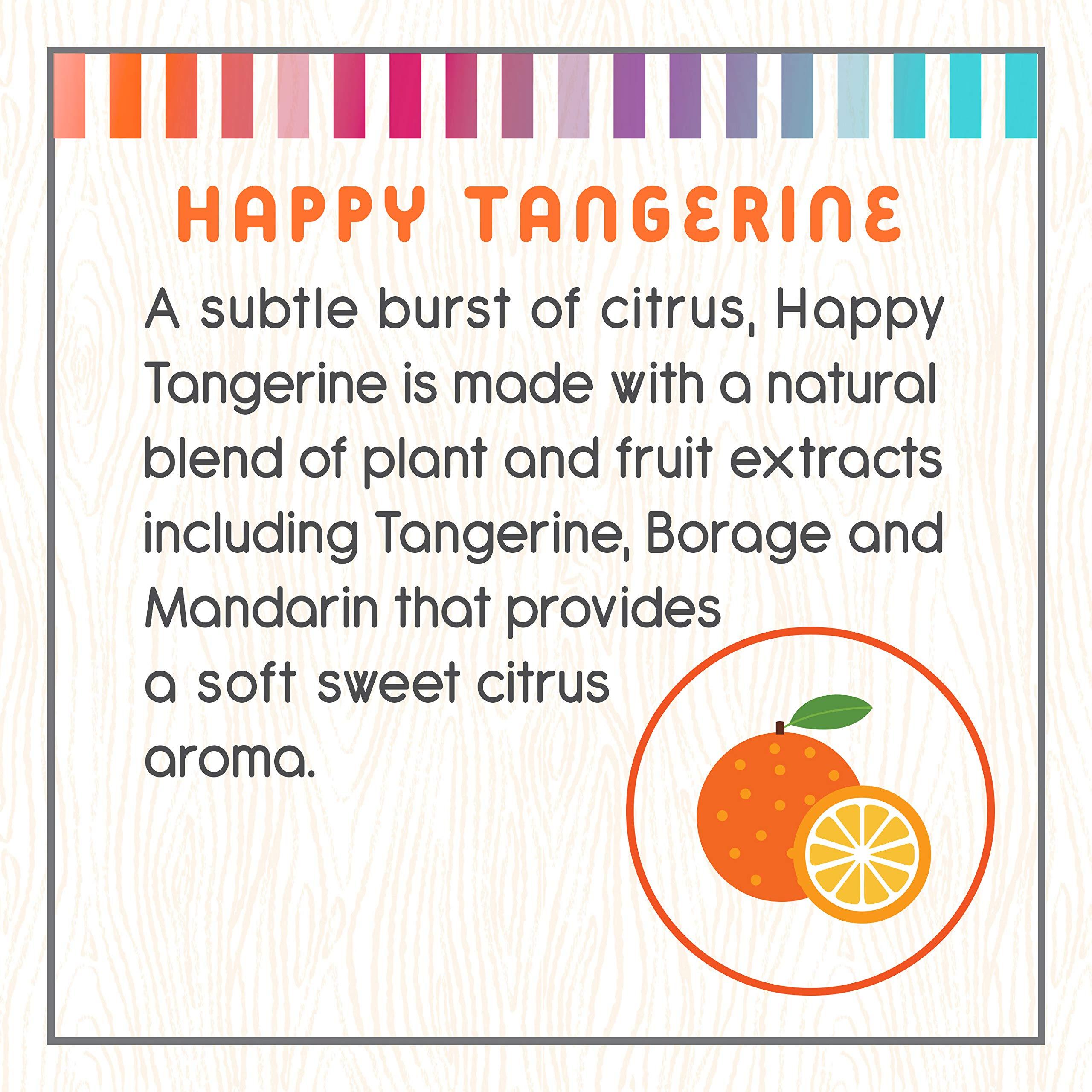 Little Twig Little Twig Happy Tangerine Shampoo, Hair Shampoo with Natural Plant Derived Formula, Vegan, Gluten-Free, Perfect for Newborns, 17 fl. oz.