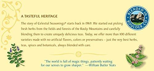 Celestial Seasonings Celestial Seasonings, Mint Magic, 20 ct