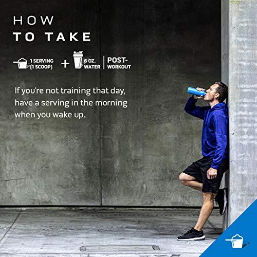 MuscleTech Creatine Monohydrate Powder MuscleTech Cell-Tech Creatine Powder Post Workout Recovery Drink Muscle Builder for Men & Women Musclebuilding Supplements Tropical Citrus Punch, 3 lbs (27 Serv)