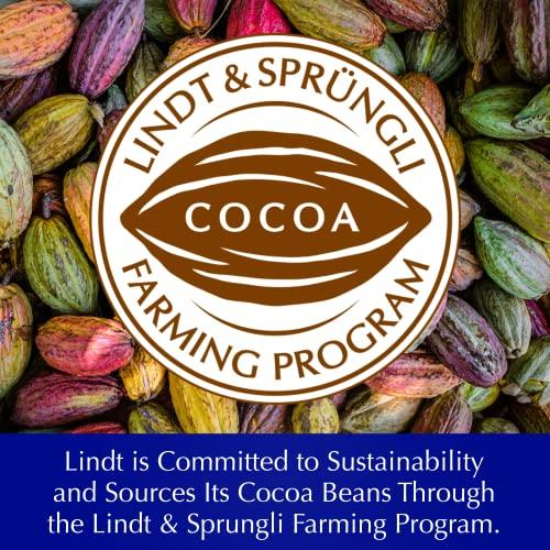 Lindt Dark Hazelnut Les Grandes Bar