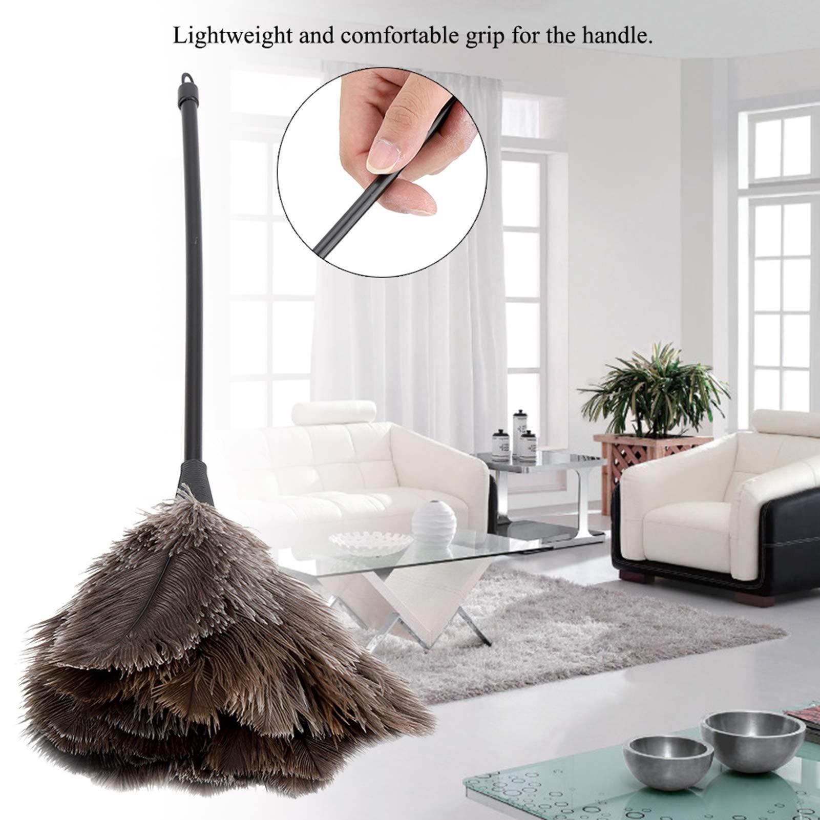 QiaNgshuAikj 34cm Premium Quality Genuine Ostrich Feather Duster – Attracts Dust Particles - Thick Soft Feathers - Durable Ergonomic Wooden Handle – Easy Efficient Dusting