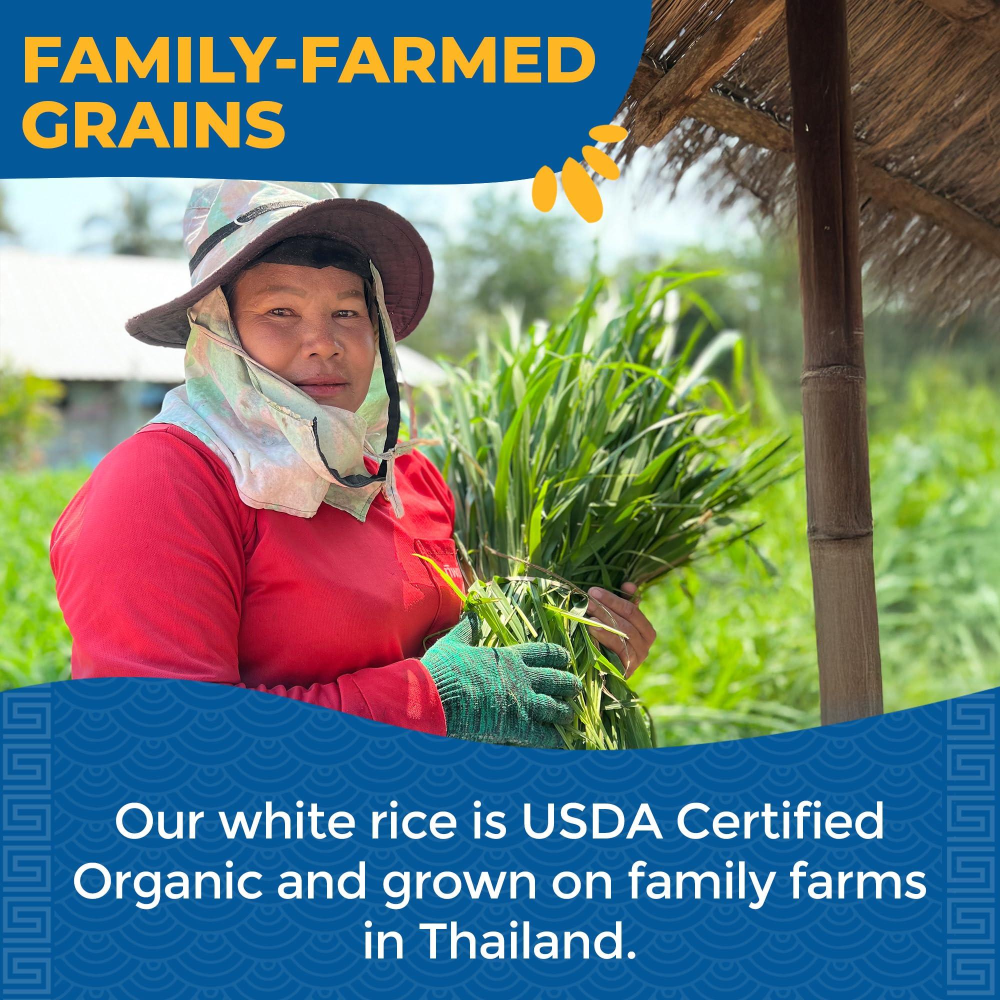 Lotus Foods Lotus Foods Organic White Jasmine Rice - Jasmine Rice, Gluten Free White Rice, Organic Rice, Long Grain Asian Sticky Rice, USDA Organic, Vegan, Gluten Free - 30 Oz (Pack of 3)