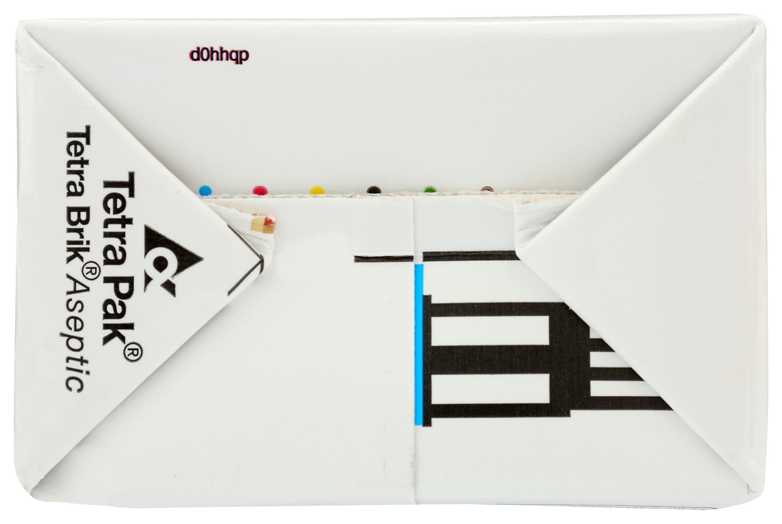 TAZO TAZO Toasted Gingerbread Latte Concentrate 6 32z [Seasonal]