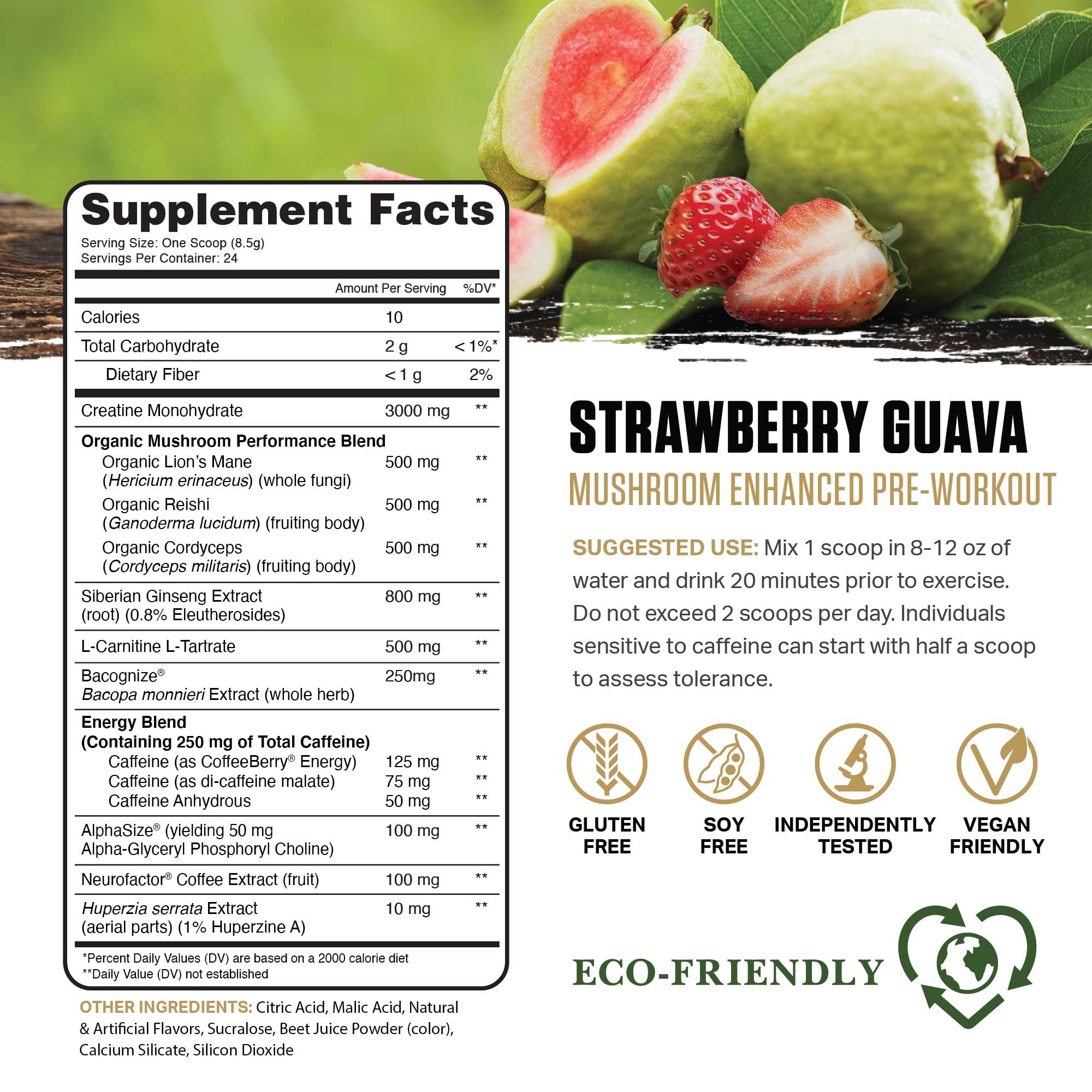 Ambrosia Ambrosia Kinetic Organic Preworkout, Mushroom Enhanced Natural Pre Workout Supplement, Nootropic Superfood Powder for Energy (Strawberry Guava)