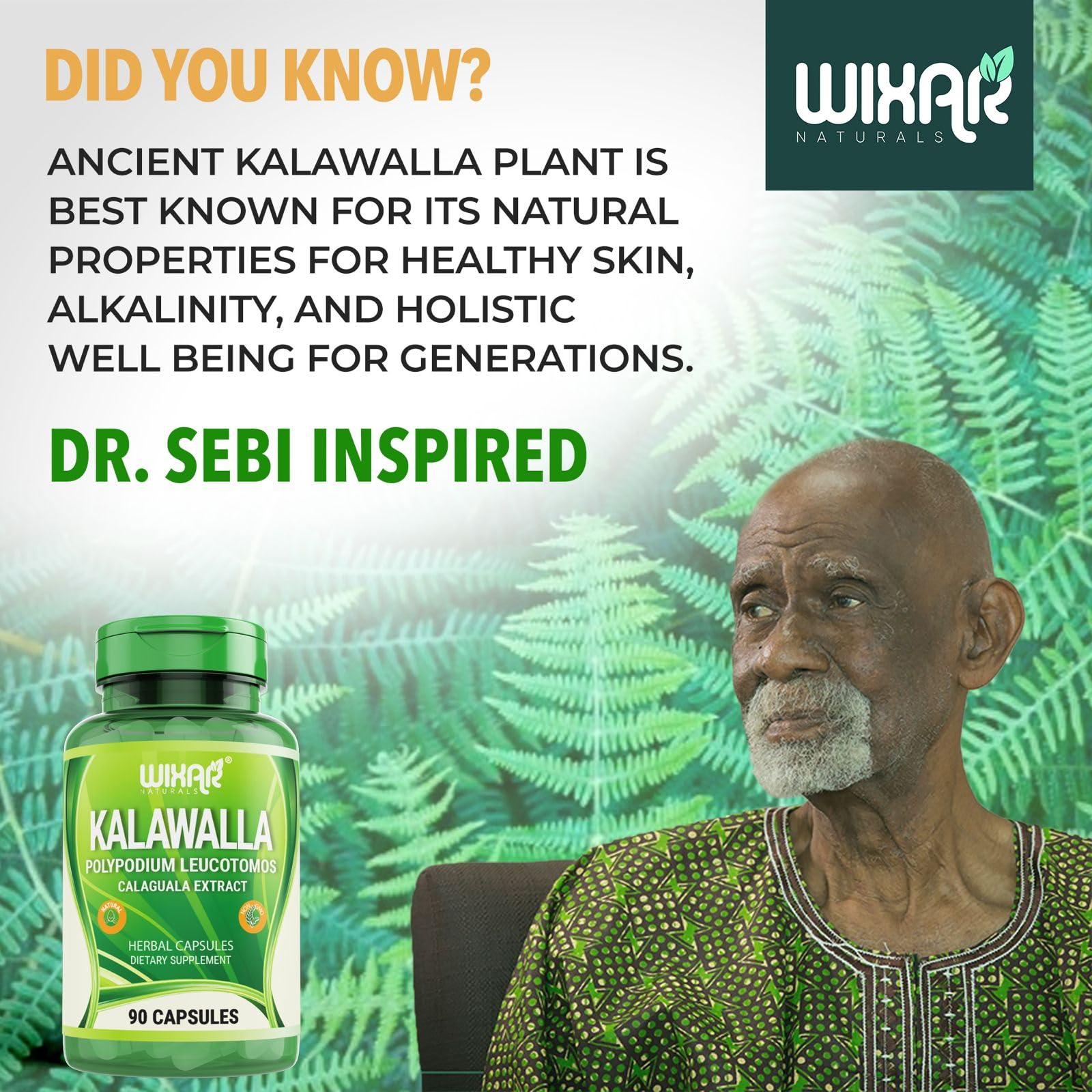 WIXAR NATURALS Wixar Kalawalla Capsules Kalawalla Root & Fern Leaves Calaguala Extract Herb with Polypodium Leucotomos Pills - Vegetarian Immune, Skin, Alkaline Support Supplements for Men & Women 90 Capsules