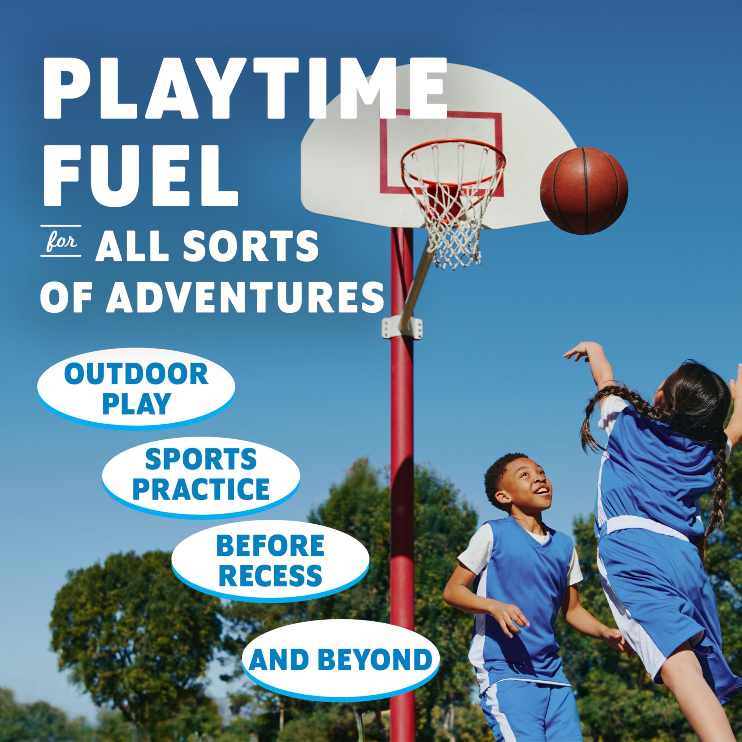 Clif Kid Zbar Zbar - Chocolate Brownie - Soft Baked Snack Bars - Non-GMO - 10g Whole Grains - USDA Organic Granola Bars (24 Pack)