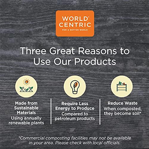 World Centric World Centric Fiber Hinged Containers, Pizza/Flatbread Containers, 6.6 x 13.7 x 1.3, Natural, Paper, 200/Carton