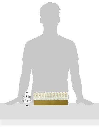 Davidson's Davidson\'s Organics, Tulsi Rooibos Chai, 8-count Tea Bags, Pack of 12