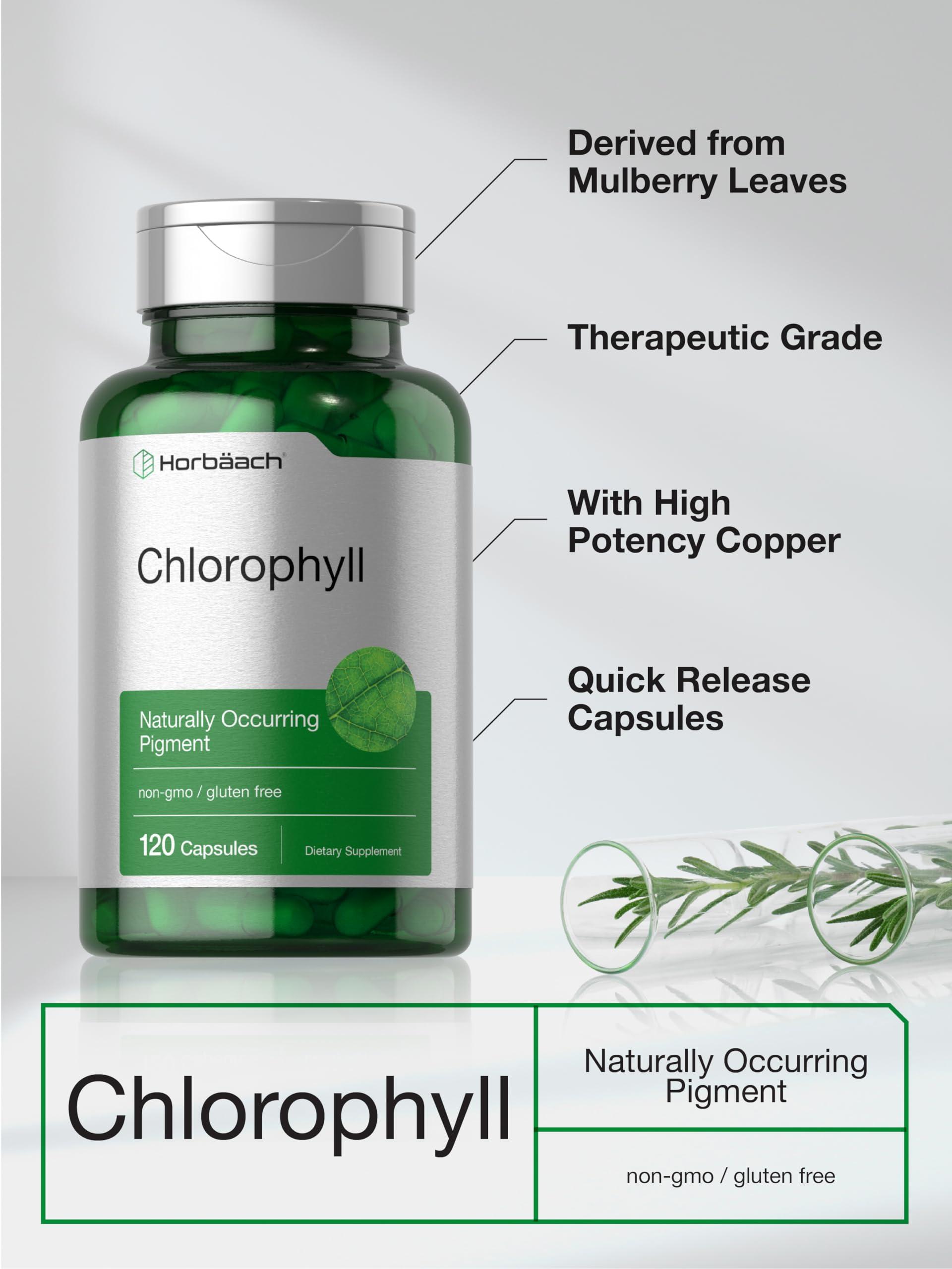 Horbäach Horbaach Chlorophyll Capsules | 120 Count | Non-GMO and Gluten Free Supplement | Naturally-Occurring Pigment