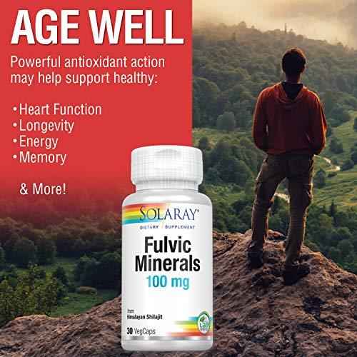 SOLARAY Solaray Fulvic Minerals 100 mg | Himalayan Shilajit | Healthy Digestion, Skin & Brain Support | 30 VegCaps