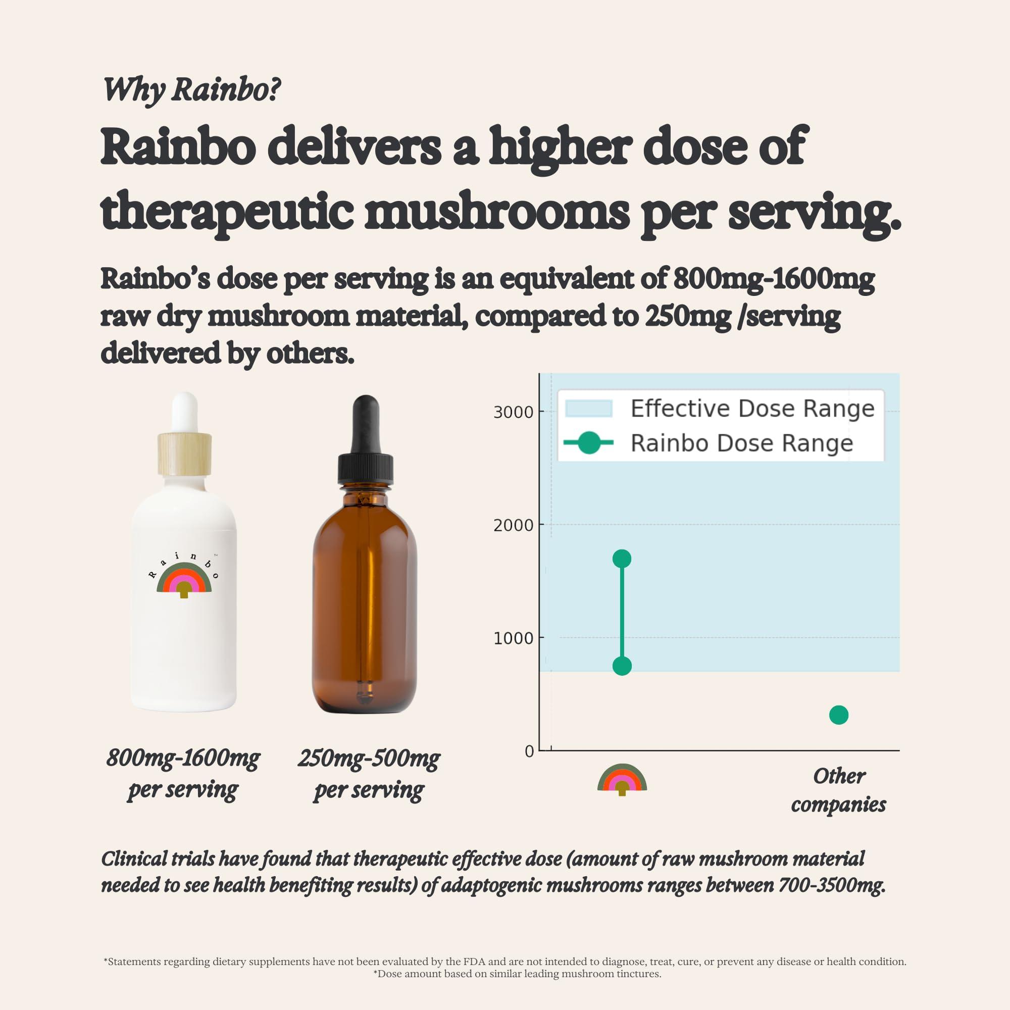 Rainbo Rainbo Mushroom Bundle, Reishi Mushroom Extract + Chaga Mushroom Tincture, Dual Extract Daily Mushroom Tinctures for Comprehensive Immune Support, Vegan Liquid Mushroom Supplements