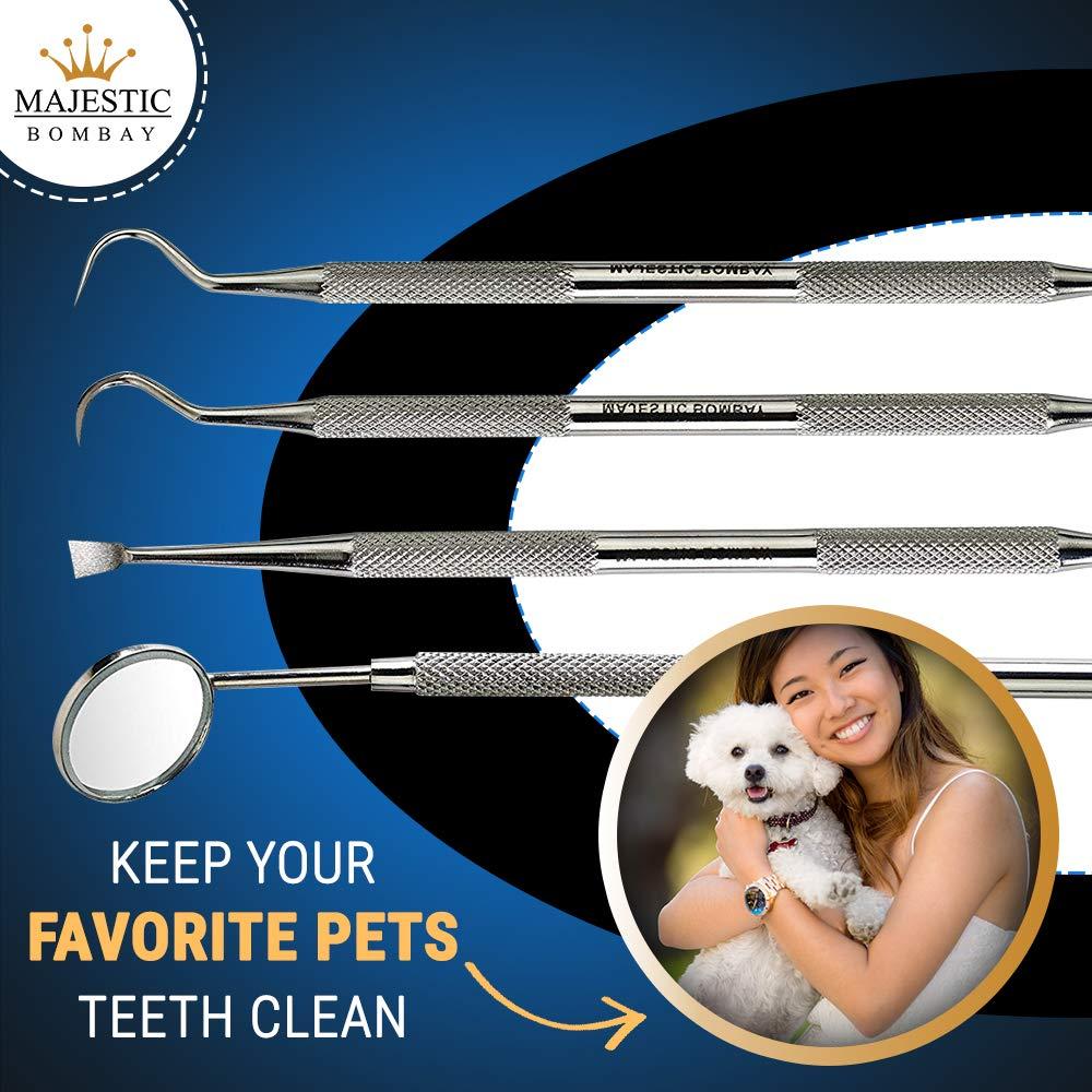 Majestic Bombay Dental Hygiene Tool Set - Stainless Steel Dental Tooth Pick, Mouth Mirror,Tarter Scraper and Plaque Remover - Dental Tool Kit is Ideal for Cleaning Use & Pet Friendly-Free Protective Case