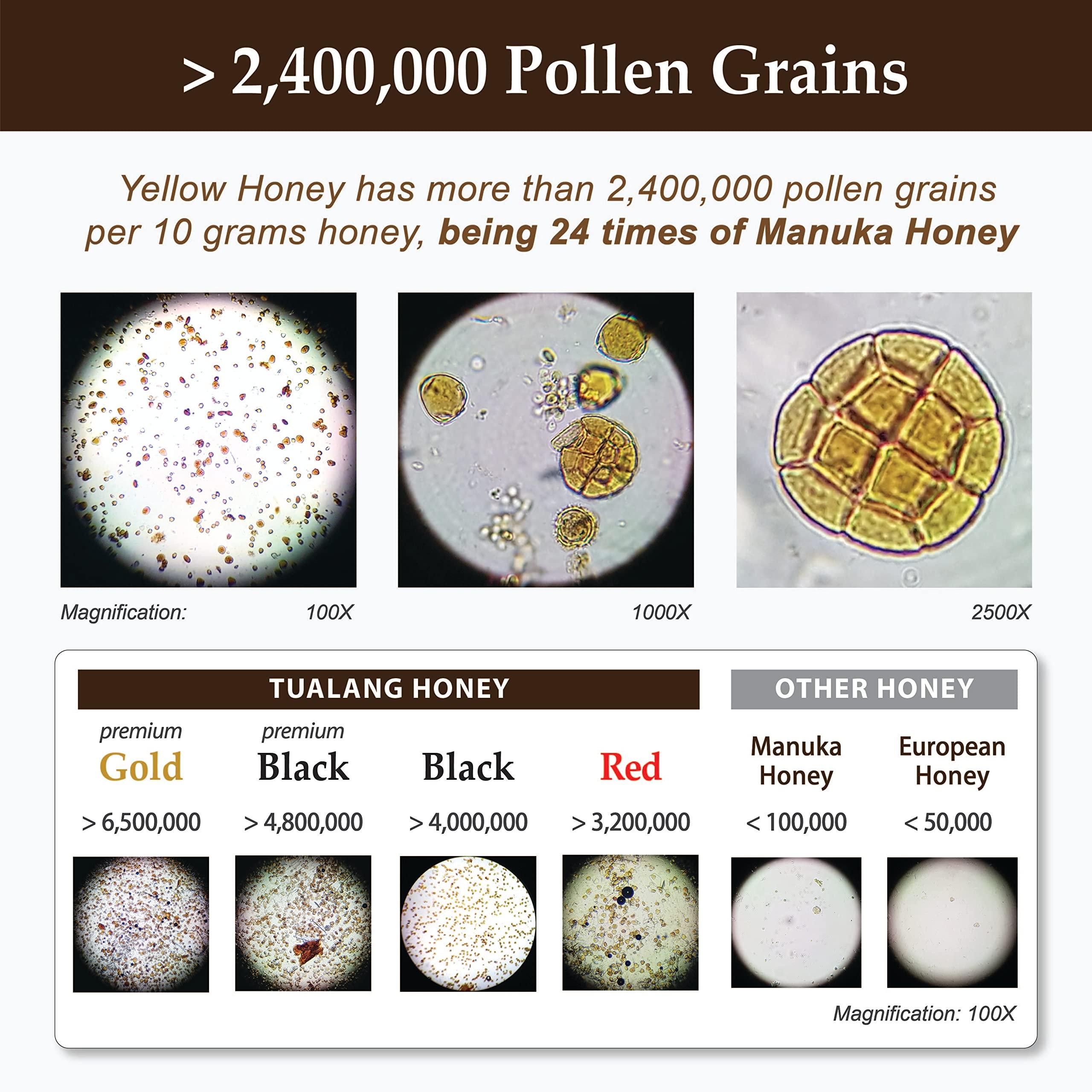 Health Harvest Tualang Yellow Honey 1.8oz (TA 9.5+, Pollen Count 2.4M+, Pollen Variety 100+) Mild Choice for Kids Growth, Wild-ripening on 250ft Treetop, Raw, Unpasteurised, Unfiltered