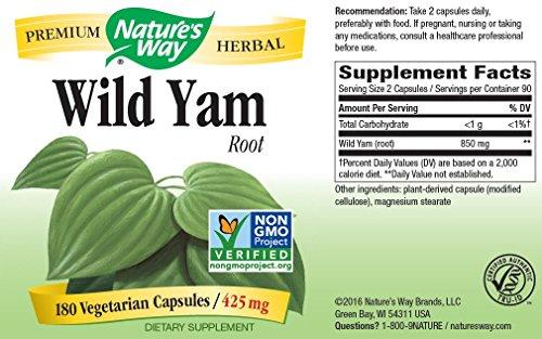 Nature's Way Nature's Way Wild Yam, 180 Vcaps, 425mg (Pack of 2)