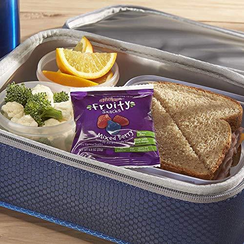 Fruity Snacks Fruity Snacks, Mixed Berry, Gluten Free, Fat Free, 32 Oz (40 Pouches).1 Pack (0.8 Ounce (Pack of 40)