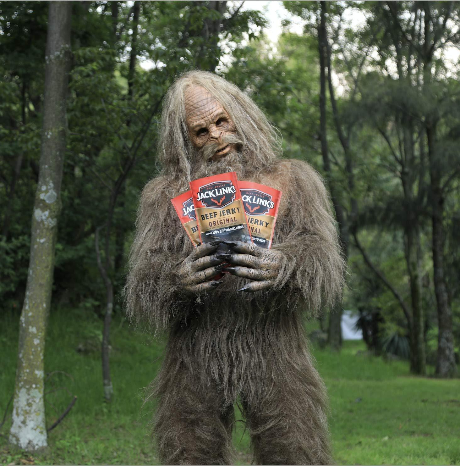 Jack Link\'s Jack Link\'s Beef Jerky 5 Count Multipack, Original, 5, 0.625 oz. Bags - Flavorful Meat Snack for Lunches, Ready to Eat - 7g of Protein, Made with 100% Beef - No Added MSG** or (Pack of 2)