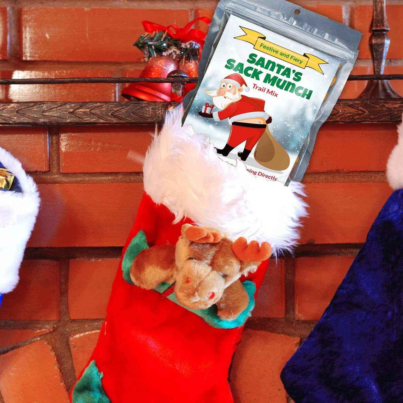 GearsOut Funny Christmas Premium Trail Mix - Hilarious Stocking Stuffers for Men Food Spicy Gifts for Women - Unique Foods Gifts and Gourmet Basket Ideas Care Packages Christmas Gag Gifts for Adults Teenagers Coworkers Friends (Santa\'s Sack)