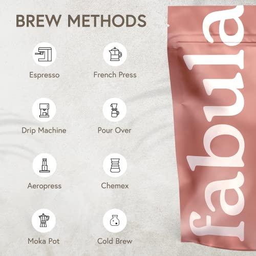 Fabula Fabula Coffee Light Roast Whole Beans - Organic - Low Acid - Single Origin - Non-GMO - Mold Free - 12 Ounces