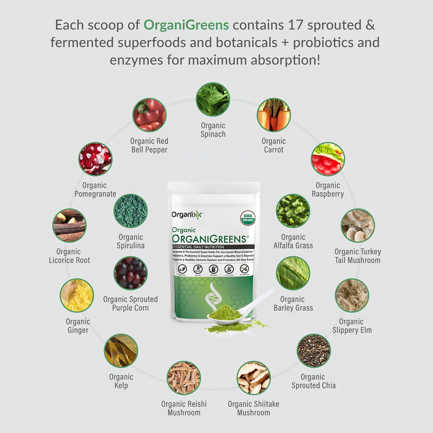 Organixx Organixx Greens Superfood Powder with Probiotic Digestive Enzymes, Gluten Free, Vegan, Daily Super Greens Powder Supplement Drink Mix for Gut Health, Immune Support & Energy, Organic, Non GMO, 10 oz