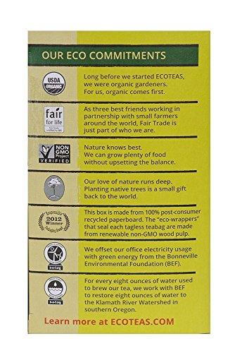 ECOTEAS ECOTEAS Organic Yerba Mate Unsmoked Tea 24 Bags (Pack of 3)