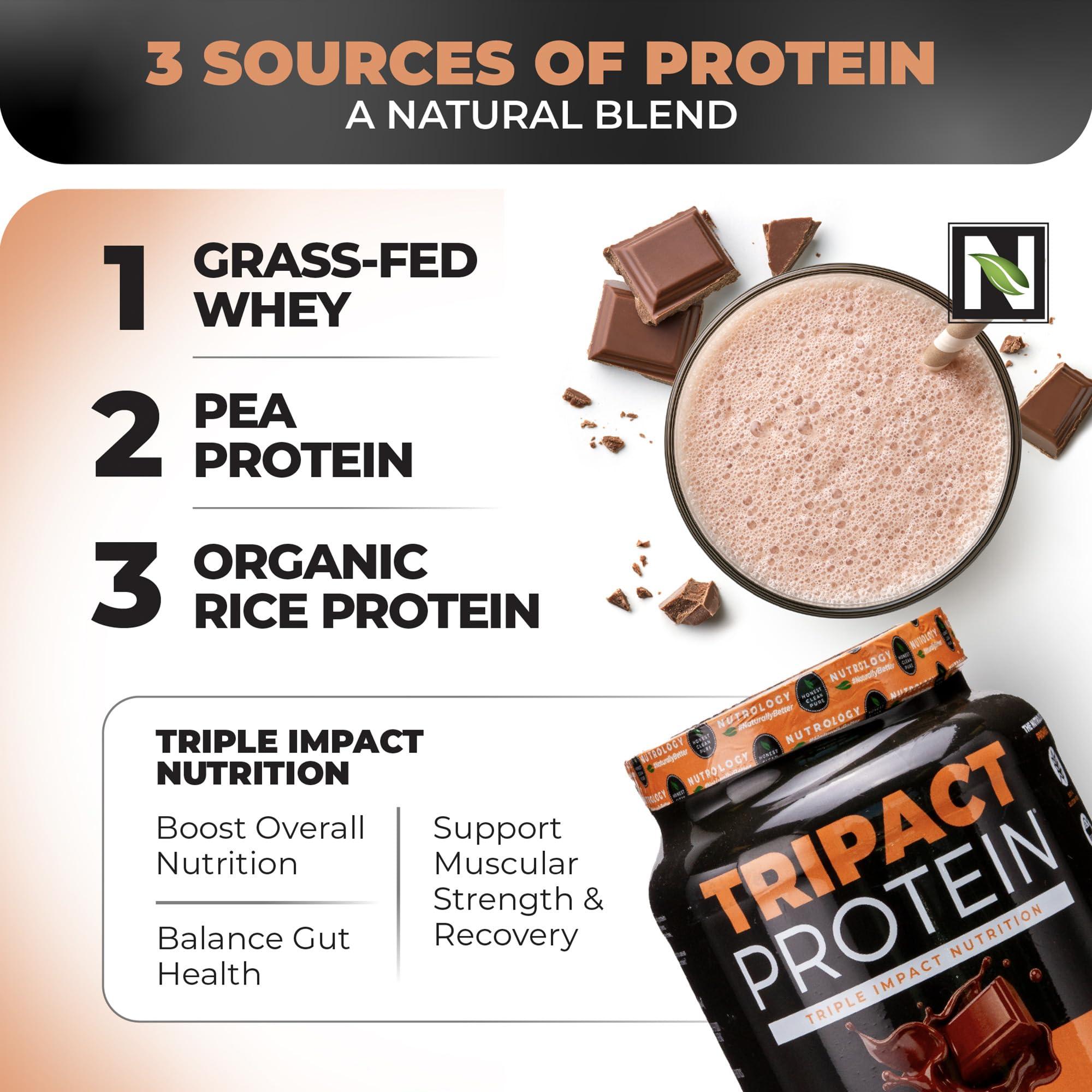 Nutrology Nutrology TRIPACT Protein Powder, 7-in-1 Meal Replacement Shake, Creamy Chocolate Flavor (20 Servings) BCAA Natural, Plant Based BCAA Powder, Lemonade Flavor (30 Servings)