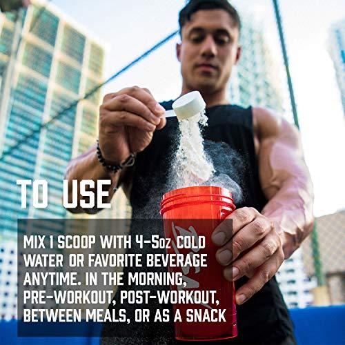 BSN BSN SYNTHA-6 Isolate Protein Powder, Strawberry Protein Powder with Whey Protein Isolate, Milk Protein Isolate, Flavor: Strawberry Milkshake, 24 Servings (Packaging May Vary)